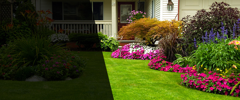 Wrens Landscapers