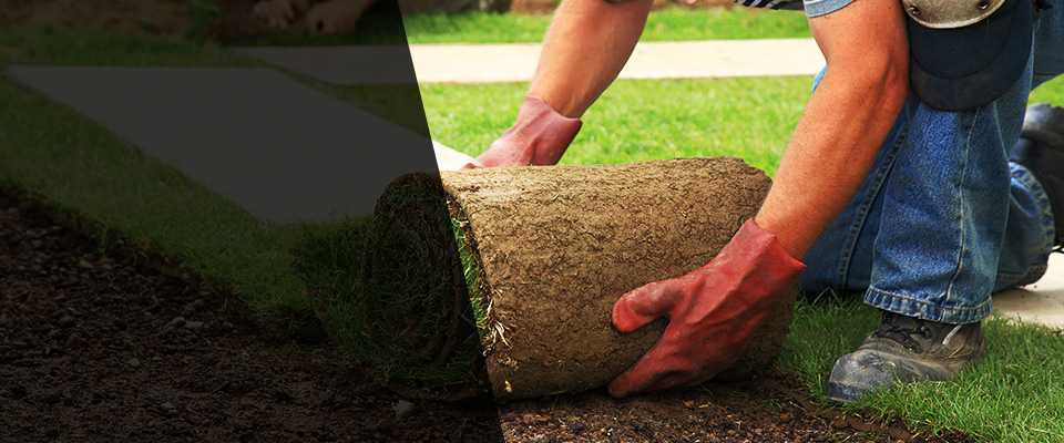 Wrens Landscapers